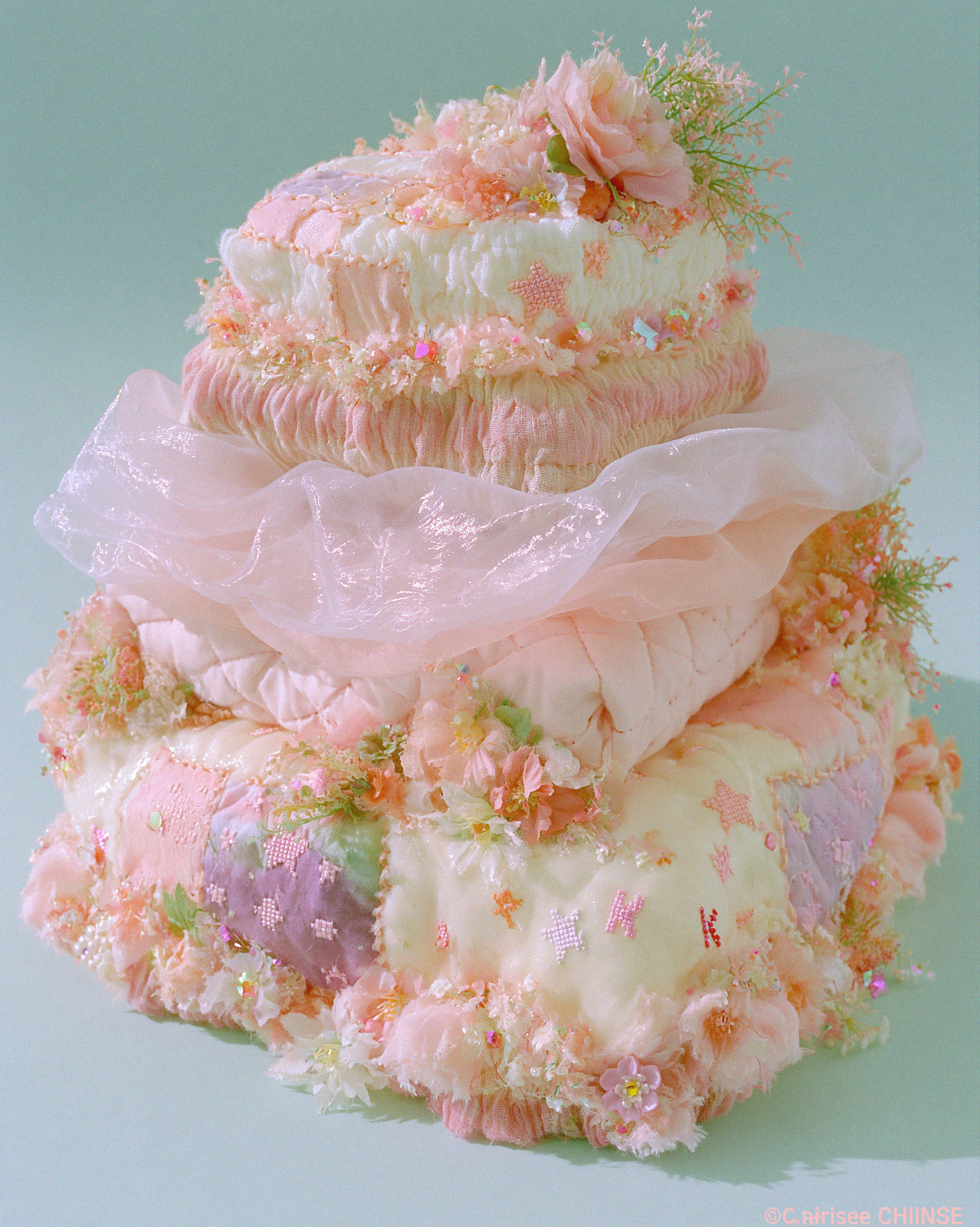 Cake Cushion