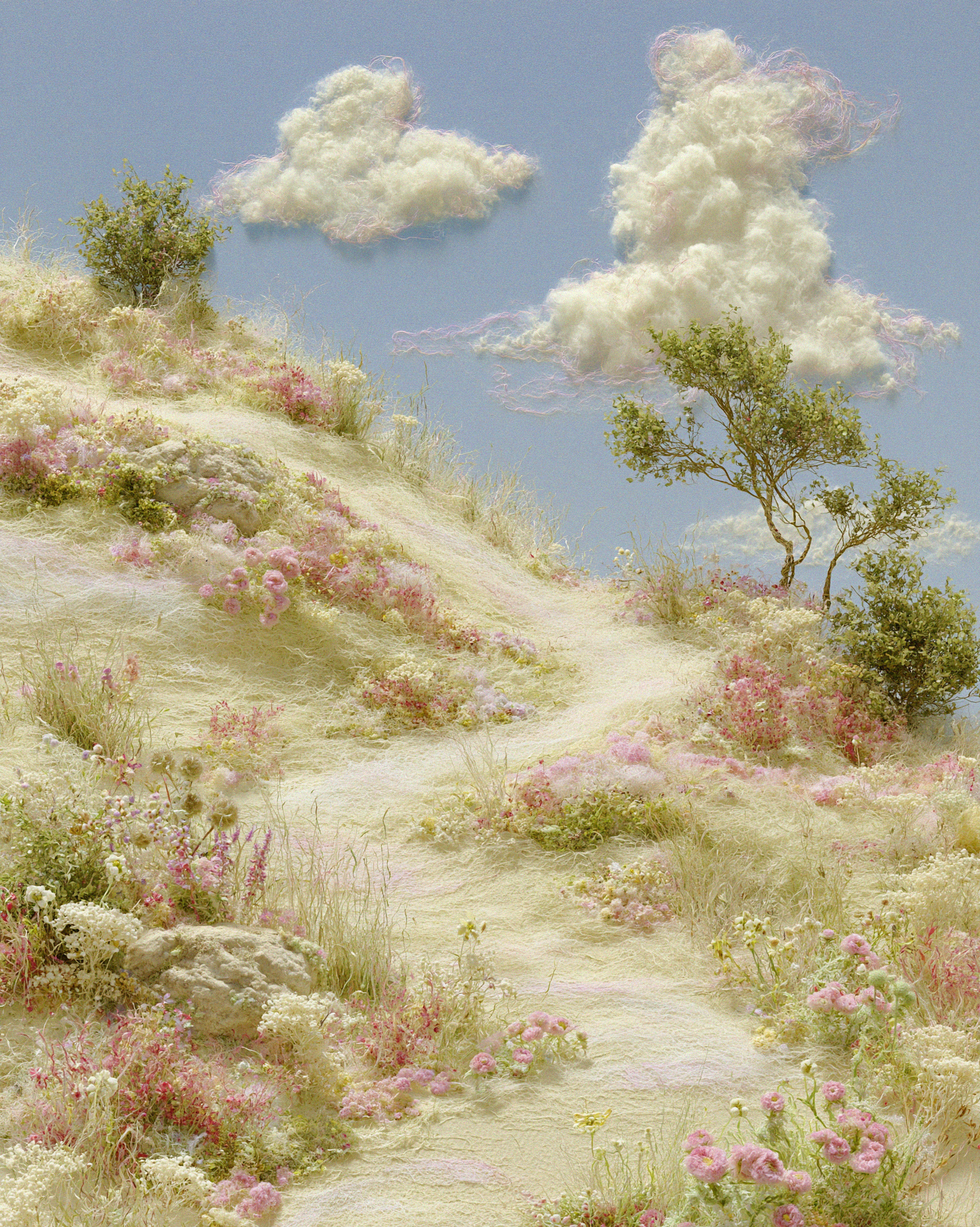 A Landscape Made to Wander